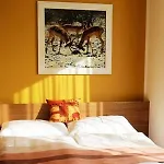 Afrika Frýdek-místek Hotel 4*