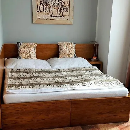 Afrika Frýdek-místek Hotel 4*