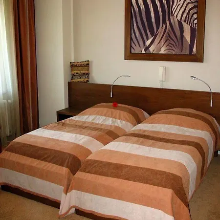 Afrika Frýdek-místek Hotel