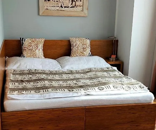 アフリカ フリーデク ミーステク ホテル 4*