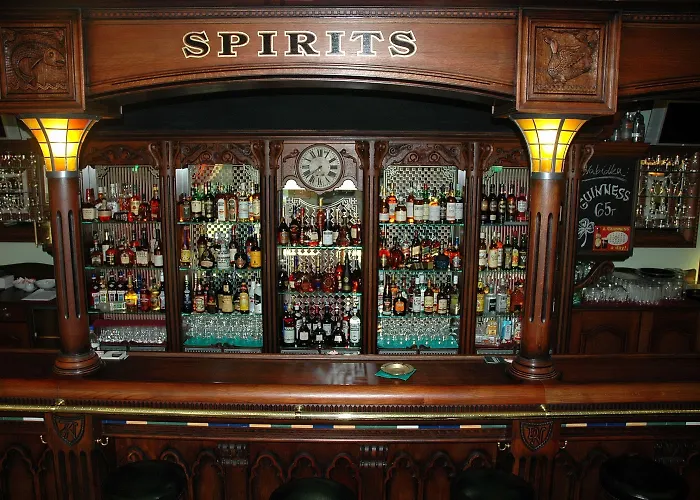 アフリカ フリーデク ミーステク ホテル Frýdek-Místek