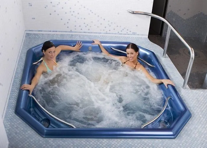 アフリカ フリーデク ミーステク