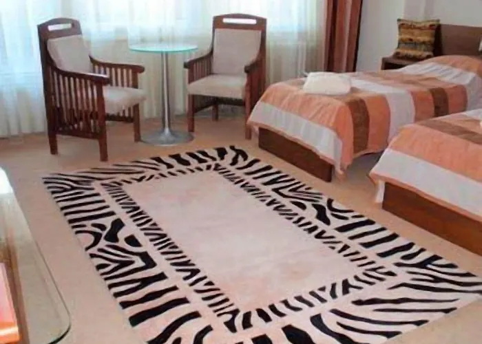 ホテル アフリカ フリーデク ミーステク