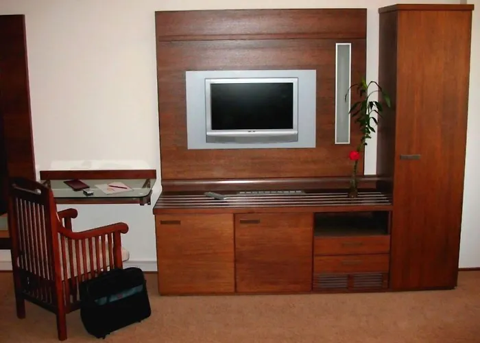 アフリカ フリーデク ミーステク Frýdek-Místek