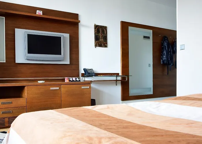 ホテル アフリカ フリーデク ミーステク