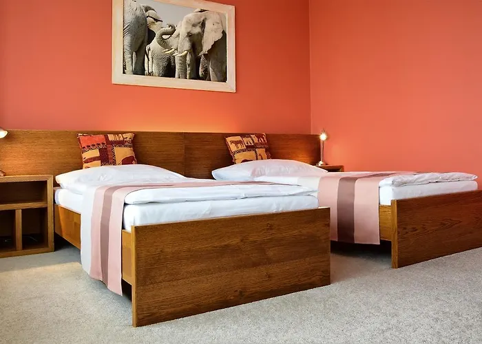 アフリカ フリーデク ミーステク