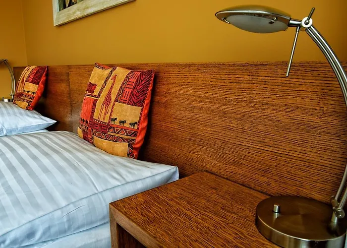 アフリカ フリーデク ミーステク 4*