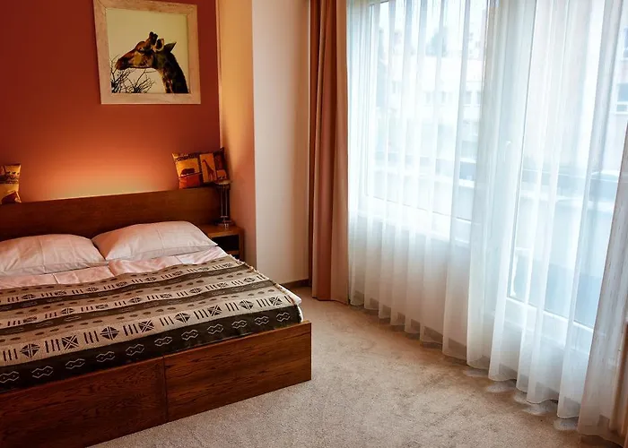 アフリカ フリーデク ミーステク