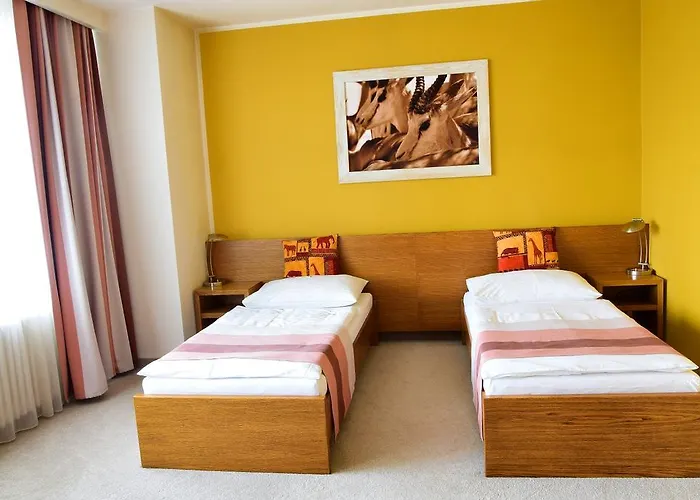 ホテル アフリカ フリーデク ミーステク