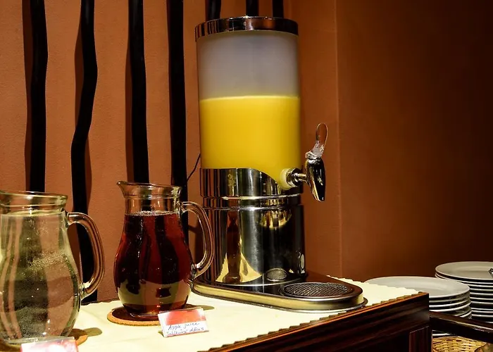 アフリカ フリーデク ミーステク 4*