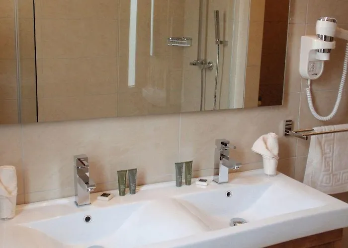 ホテル アフリカ フリーデク ミーステク