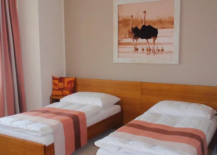 アフリカ フリーデク ミーステク 4*